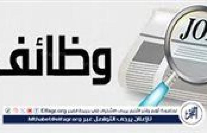 فرص التوظيف في قطاع النقل لعام 2024: فرص جديدة للشباب