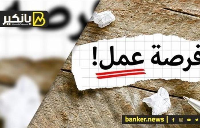 "وظيفة تك".. اعرف وظايف الحكومة الجديدة وشروطها