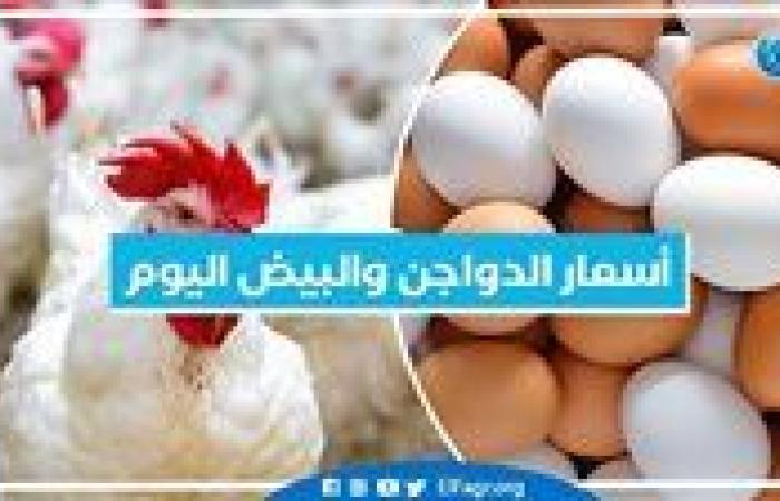 أسعار الدواجن والبيض اليوم الخميس 19-9-2024 بمحافظة البحيرة