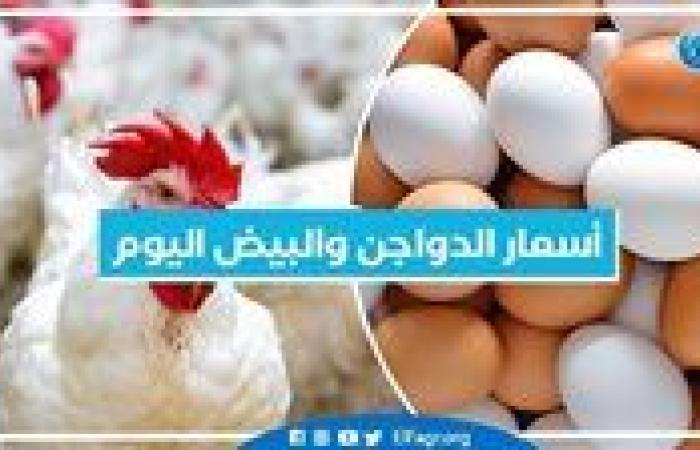 أسعار الدواجن والبيض اليوم الجمعة 20-9-2024 في المنيا