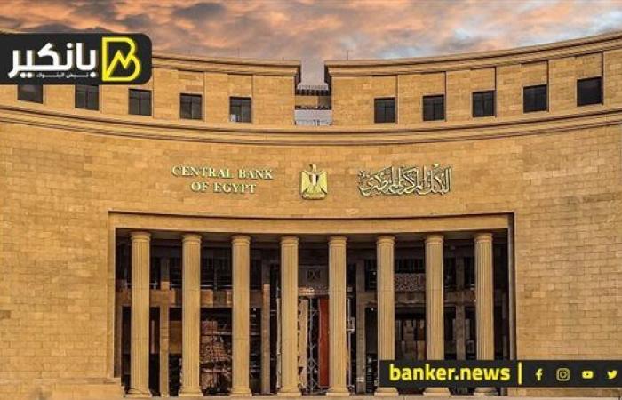 البنك المركزي : 2.6% نسبة القروض غير المنتظمة لإجمالي محافظ البنوك بنهاية يونيو 2024