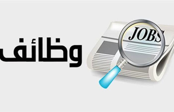 وظائف خالية.. 3744 فُرصة عمل جديدة في 82 شركة