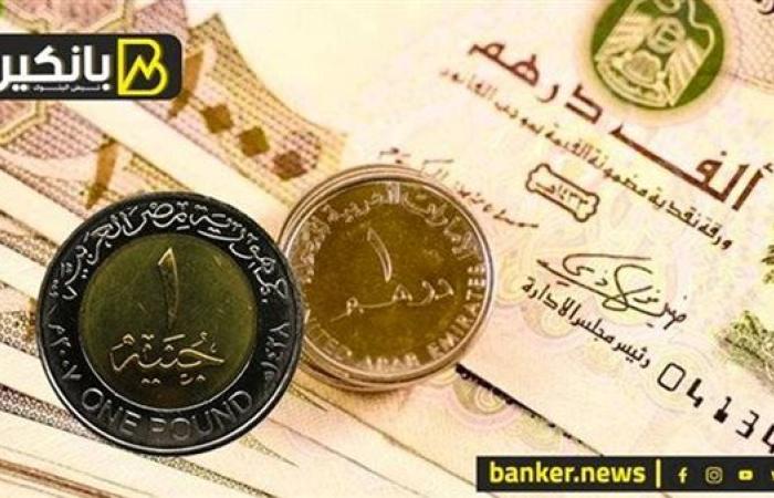 سعر الدرهم الإماراتي أمام الجنيه المصري في تعاملات اليوم الجمعة 20-9-2024