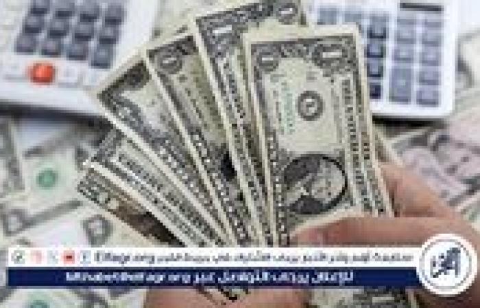 استقرار سعر الدولار: ما خلف الأرقام في السوق المصري اليوم