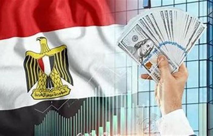 "المصرية للاقتصاد والإحصاء": الدولة تسعى لتعزيز دور القطاع الخاص وامتلاك اقتصاد تنافسي