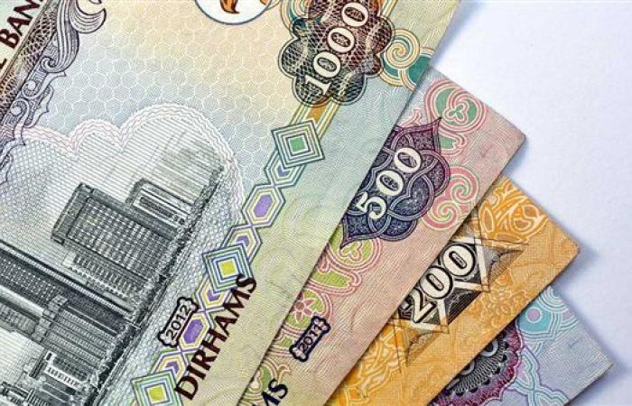 سعر الدرهم الإماراتي اليوم الثلاثاء 24-9-2024 في البنك المركزي المصري