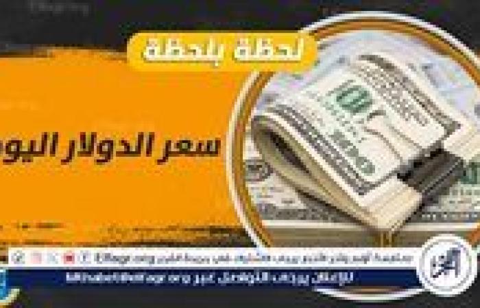 تراجع سعر الدولار أمام الجنيه خلال ختام التعاملات المسائية بالبنوك اليوم الأربعاء