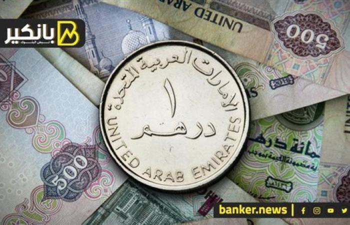 سعر الدرهم الإماراتي أمام الجنيه المصري في تعاملات اليوم السبت 28-9-2024