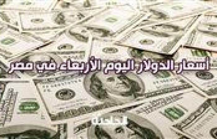 استقر سعر الدولار اليوم الأربعاء في مصر مقابل الجنيه المصري