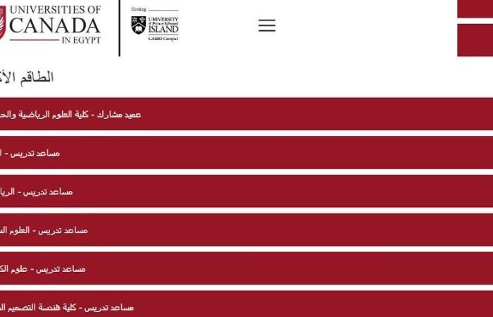 بالبلدي: وظيفة جامعة.. جامعة كندا في مصر عن وظائف أعضاء هيئة تدريس في 9 تخصصات