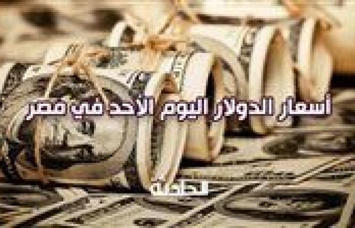 سعر الدولار اليوم الأحد في مصر 6 أكتوبر 2024