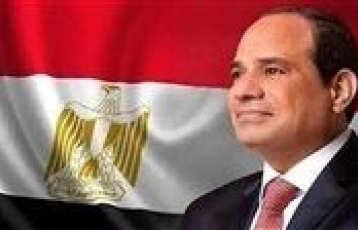 السيسي يتحدث عن حل لتجاوز أزمة الدولار في مصر