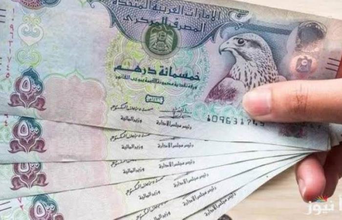 سعر الدرهم الإماراتي اليوم الأحد 3-11-2024 في البنوك