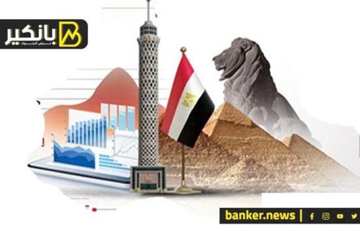 مش هتندم أبدا.. مزايا الاستثمار الأجنبي في مصر