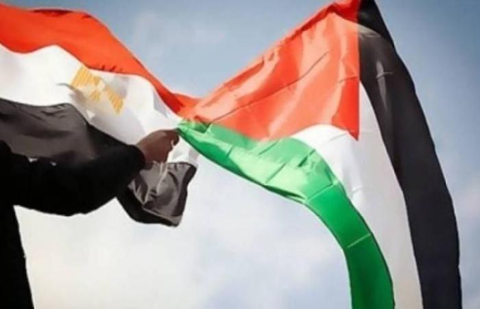 خبير: مصر تعزز وحدة الشعب الفلسطيني في مجابهة العدوان الإسرائيلي بغزة