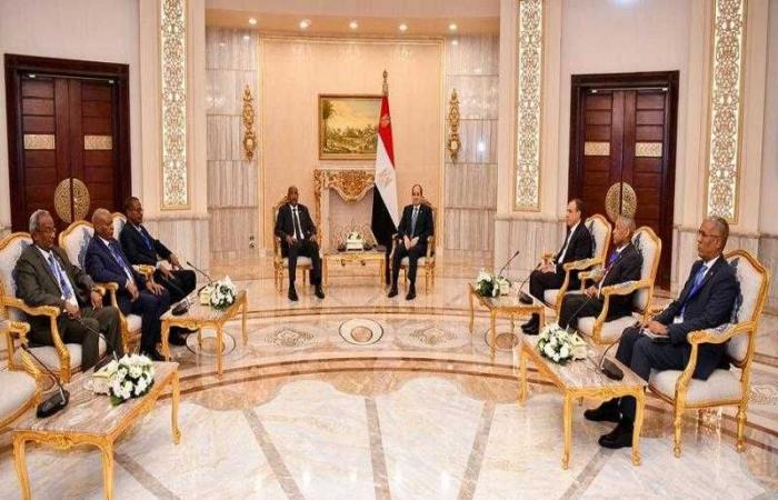 الرئيس السيسي يؤكد استمرار الدعم المصري للسودان الشقيق للخروج من الأزمة التي يمر بها