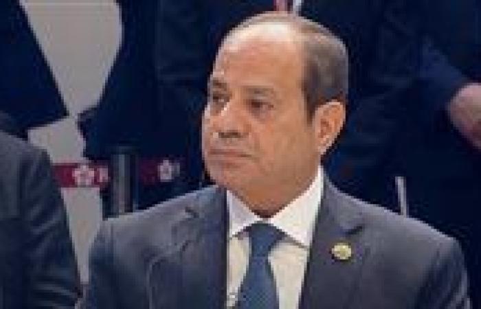 الرئيس السيسي يؤكد استمرار الدعم المصري للسودان على كافة المستويات