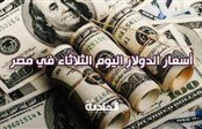 49.03 جنيه للشراء.. سعر الدولار اليوم الثلاثاء في مصر أمام الجنيه