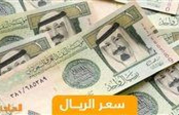 13.08 للبيع.. سعر الريال السعودي أمام الجنيه المصري في منتصف تعاملات اليوم