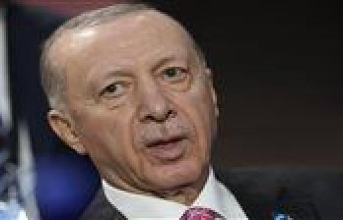 أردوغان: "عودة ترمب" ستغير توازنات الشرق الأوسط.. ونأمل أن يوقف حرب غزة