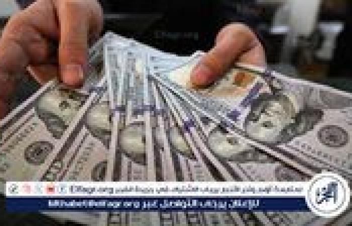 ارتفاع ملحوظ في سعر الدولار أمام الجنيه المصري اليوم السبت: 9 نوفمبر 2024