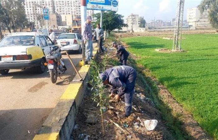 محافظ كفر الشيخ: استمرار زراعة الأشجار بدسوق