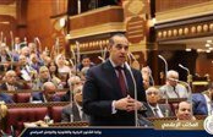 الوزير محمود فوزي: مشروع قانون العمل يوازن بين مصالح أطراف العمل الثلاثة