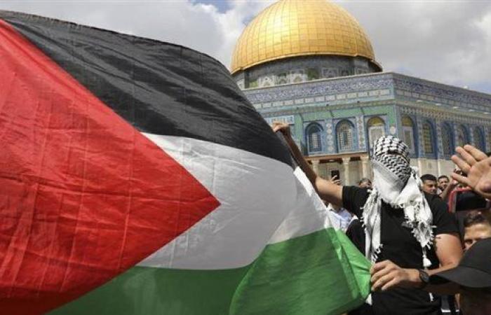 أستاذ علاقات دولية: حل الصراع في الشرق الأوسط يكمن في حل القضية الفلسطينية