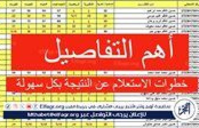 عاجل - موعد إعلان نتائج السادس الإعدادي الدور الثالث 2024 وكيفية الاستعلام عبر موقع وزارة التربية العراقية