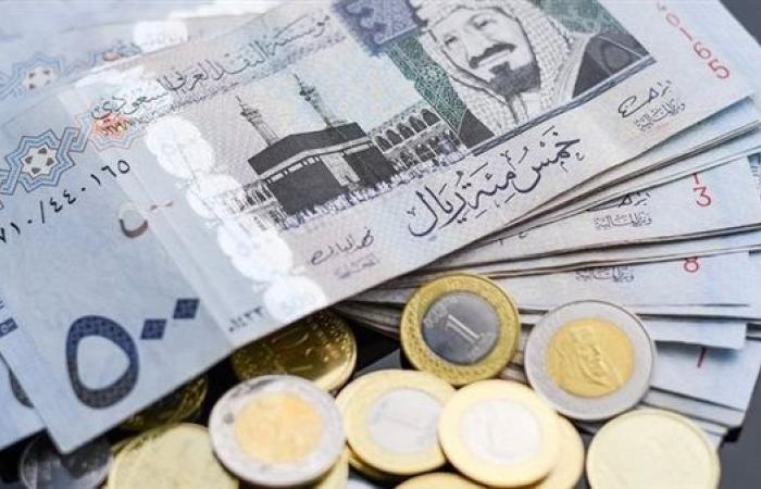 سعر الريال القطري اليوم الثلاثاء 12-11-2024 بالبنوك المصرية