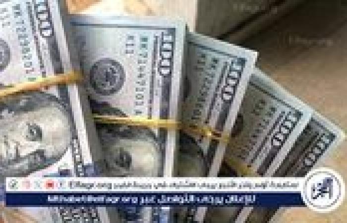 تراجع جديد في سعر الدولار أمام الجنيه المصري اليوم الثلاثاء 12 نوفمبر 2024