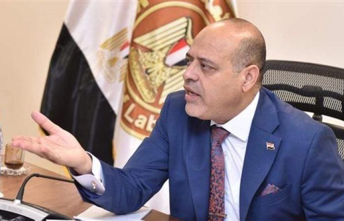 وزير العمل يتلقى تقريرًا من المحلق العمالي بالكويت بشأن مطالب المهندسين المصريين