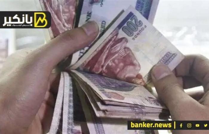 زيادة بنسبة 10.5% في أجور العاملين بشركات القطاع العام