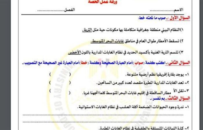 مراجعات نهائية.. أسئلة تقييم الأسبوع التاسع الدراسات الاجتماعية لـ الصف الأول الإعدادي