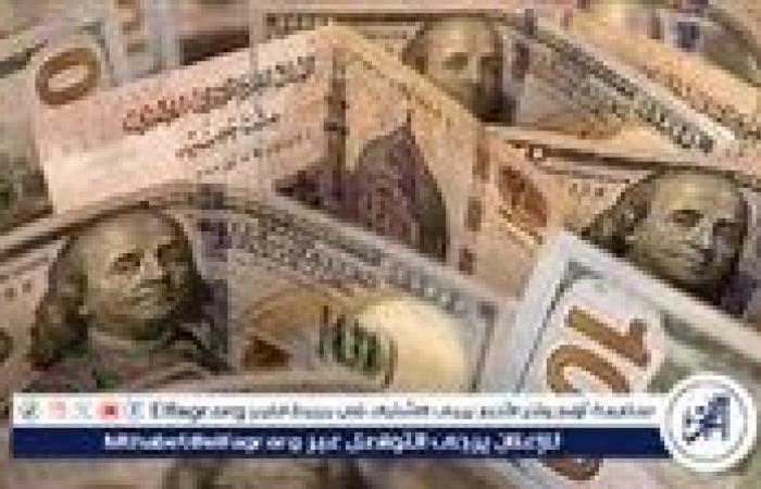 استقرار سعر الدولار مقابل الجنيه المصري اليوم الأحد 17 نوفمبر 2024