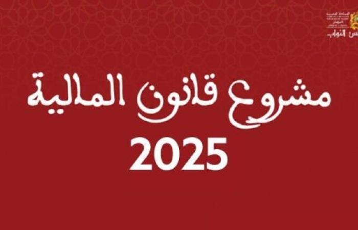 مشروع مالية 2025.. عدد مرافق الدولة المسيرة بصورة مستقلة يبلغ 171 مرفقا برسم سنة 2024