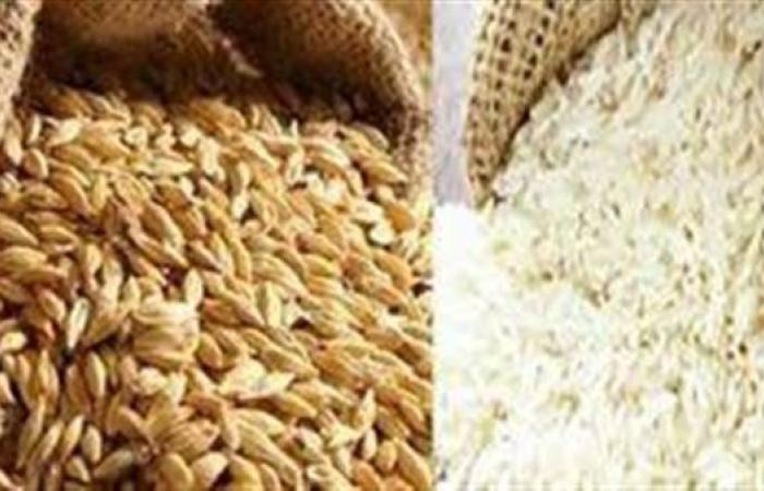 سعر طن الأرز الشعير اليوم الثلاثاء 19-11-2024