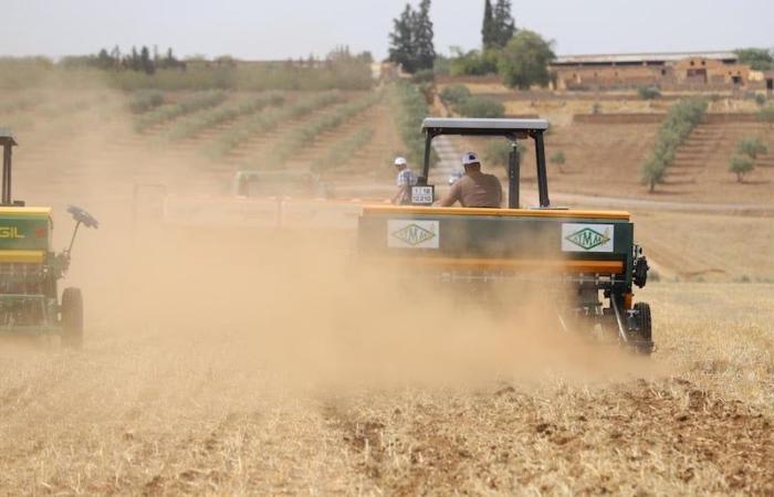 ما تأثيرات الرياح القوية المتكررة على الفلاحة والمحاصيل الزراعية بالمغرب؟