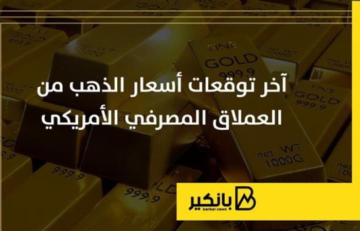 توقعات جديدة من مورجان ستانلي عن سعر الفائدة في مصر