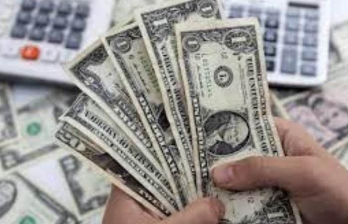 سعر الدولار اليوم الثلاثاء 19-11-2024 بختام التعاملات في البنوك