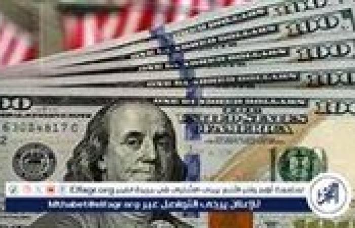 سعر الدولار مقابل الجنيه اليوم الثلاثاء 19 نوفمبر 2024: استقرار طفيف في البنوك المصرية