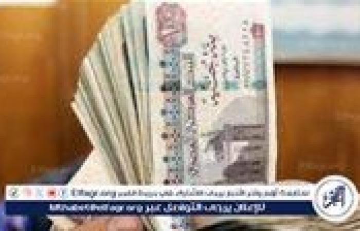 عاجل - موعد صرف رواتب نوفمبر 2024 في مصر للقطاعين العام والخاص