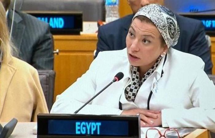 وزيرة البيئة تشارك في جلسة الرئاسة الأذربيجانية لمؤتمر المناخ COP29