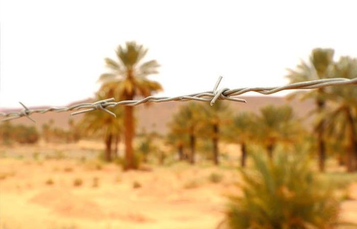 معطيات تاريخية وحقائق قانونية توثق سيادة المغرب على الصحراء الشرقية