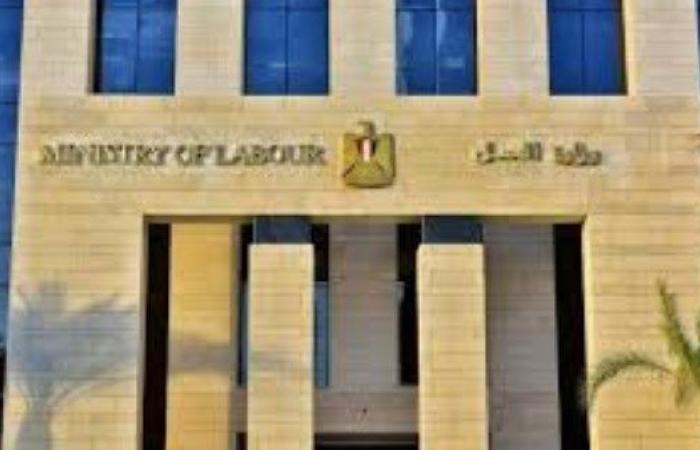 بمرتبات تصل لـ4000 درهم.. فرص عمل جديدة للمصريين في الإمارات