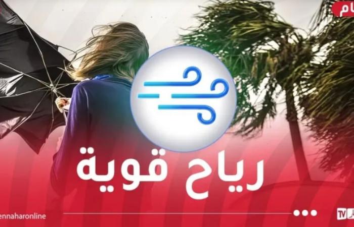 رياح
      قوية
      تضرب
      8
      ولايات - غاية التعليمية