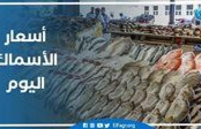 أسعار السمك اليوم 24-11-2024 في محافظة قنا