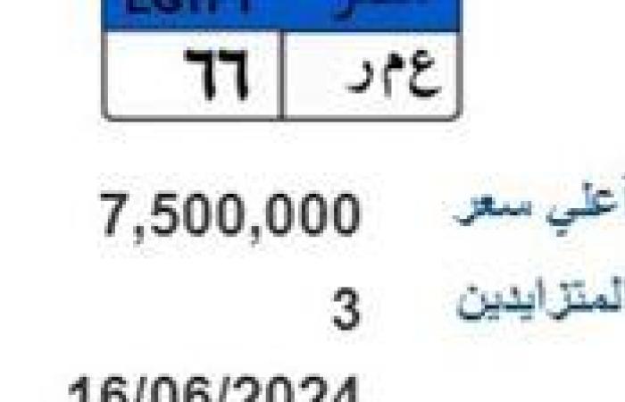 "نور وسيف".. لوحة عربيتك باسمك والأسعار تتجاوز نصف مليون جنيه