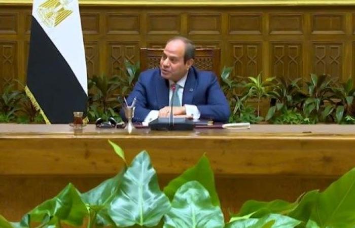 الرئيس السيسي: محتاجين القطاع الخاص يشتغل ويتطور ويكبر استثماراته فى مصر