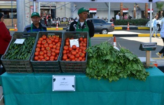 أسواق اليوم الواحد.. مبادرة لتخفيف الأعباء عن المواطنين.. التموين: تقليل الحلقات الوسيطة وتوفير السلع الأساسية بتخفيضات 20%.. اقتصاديون: زيادة المعروض يمنع ارتفاع الأسعار ويحد من التضخم